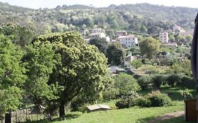 A CARDICCIA Loc saisonnières PIANA